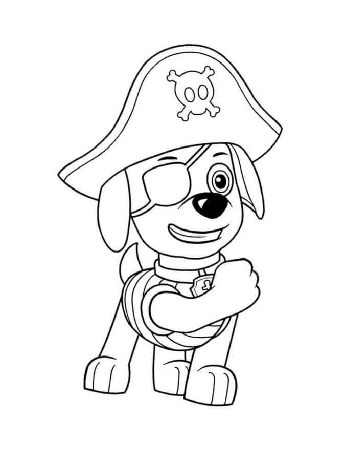 Zuma in costume da pirata da colorare