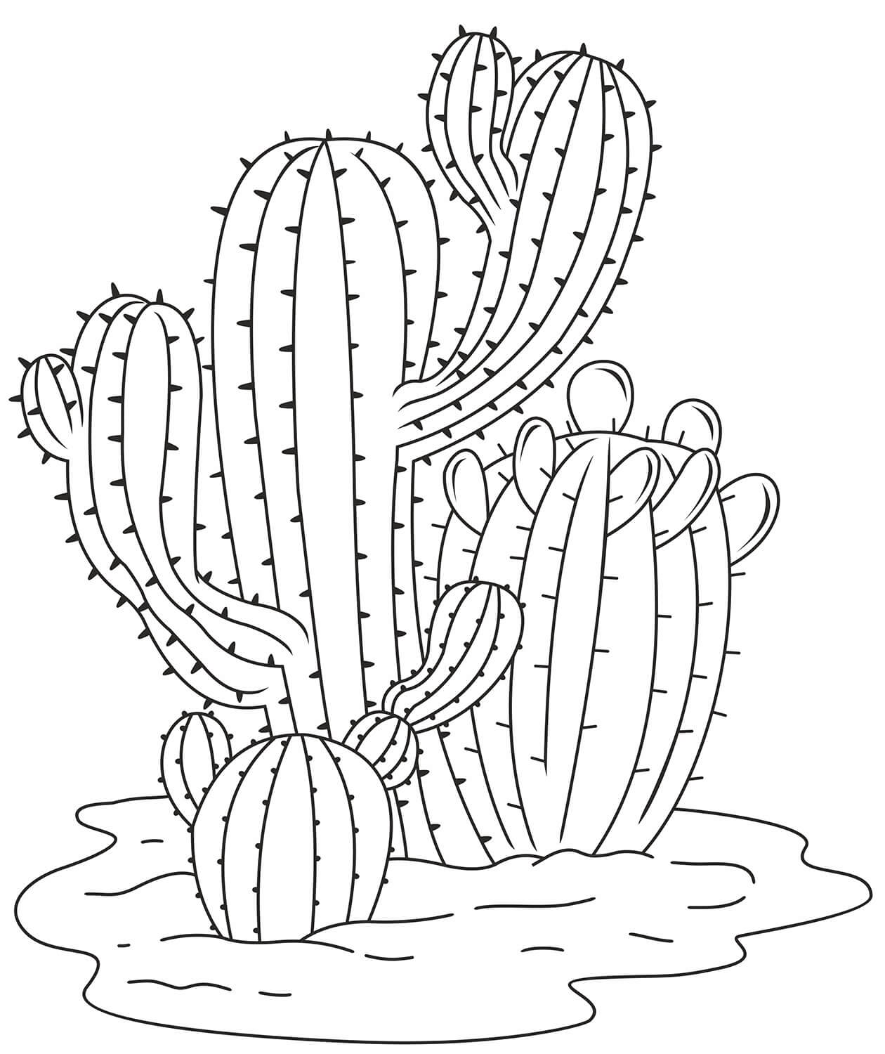 Cactus Semplice Da Colorare Scarica Stampa O Colora Subito Online 