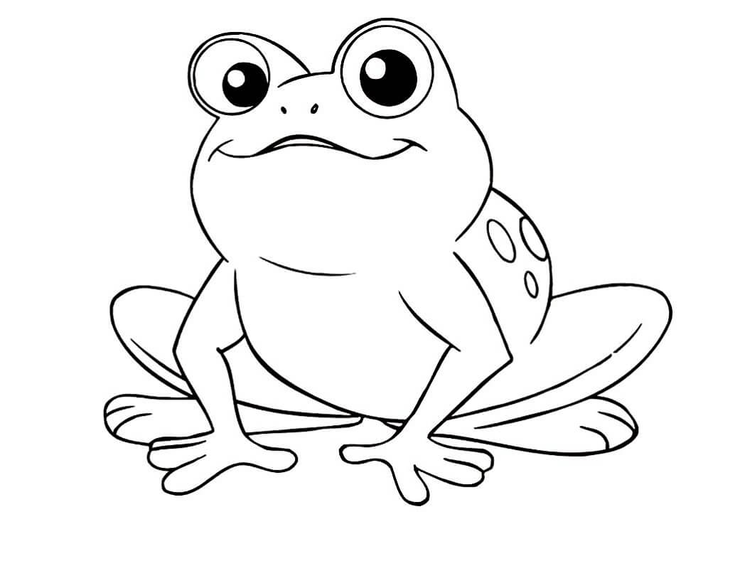 Disegni Di Rana Da Colorare Disegni Colorare Com