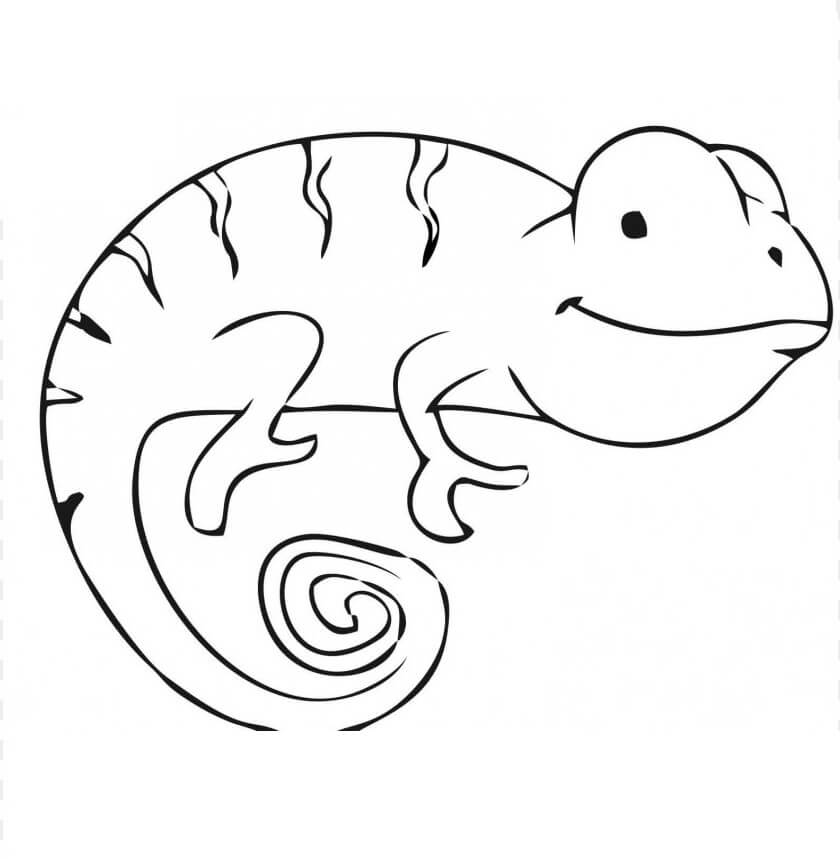 Disegni Di Camaleonte Da Colorare Disegni Colorare Com