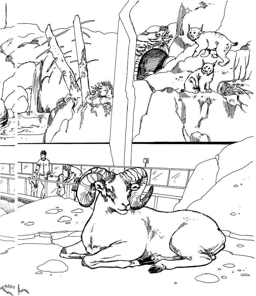 Животные в зоопарке рисунки карандашом